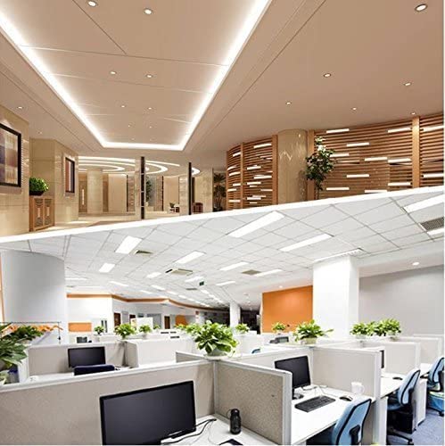 Lightingwill Led T8 Light Tube 2Ft  Warm White 3000K-3500K  Dual-End Powered Ballast Bypass  1000Lumens 10W 4W Fluorescent Equivalent  Frosted Cover  Ac85-265V Lighting Tube Fixtures  1 Pack