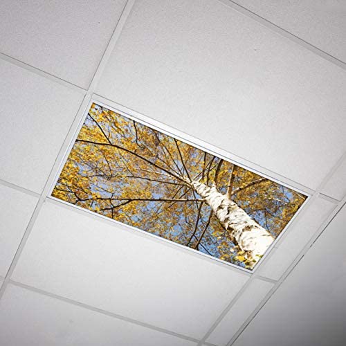 OCTO LIGHTS Fluorescent Light Cover Backlit Film Insert 2x4 Autumn Birch Tree 22.38inx46.5in Model TRE-003-2x4 Pack of 