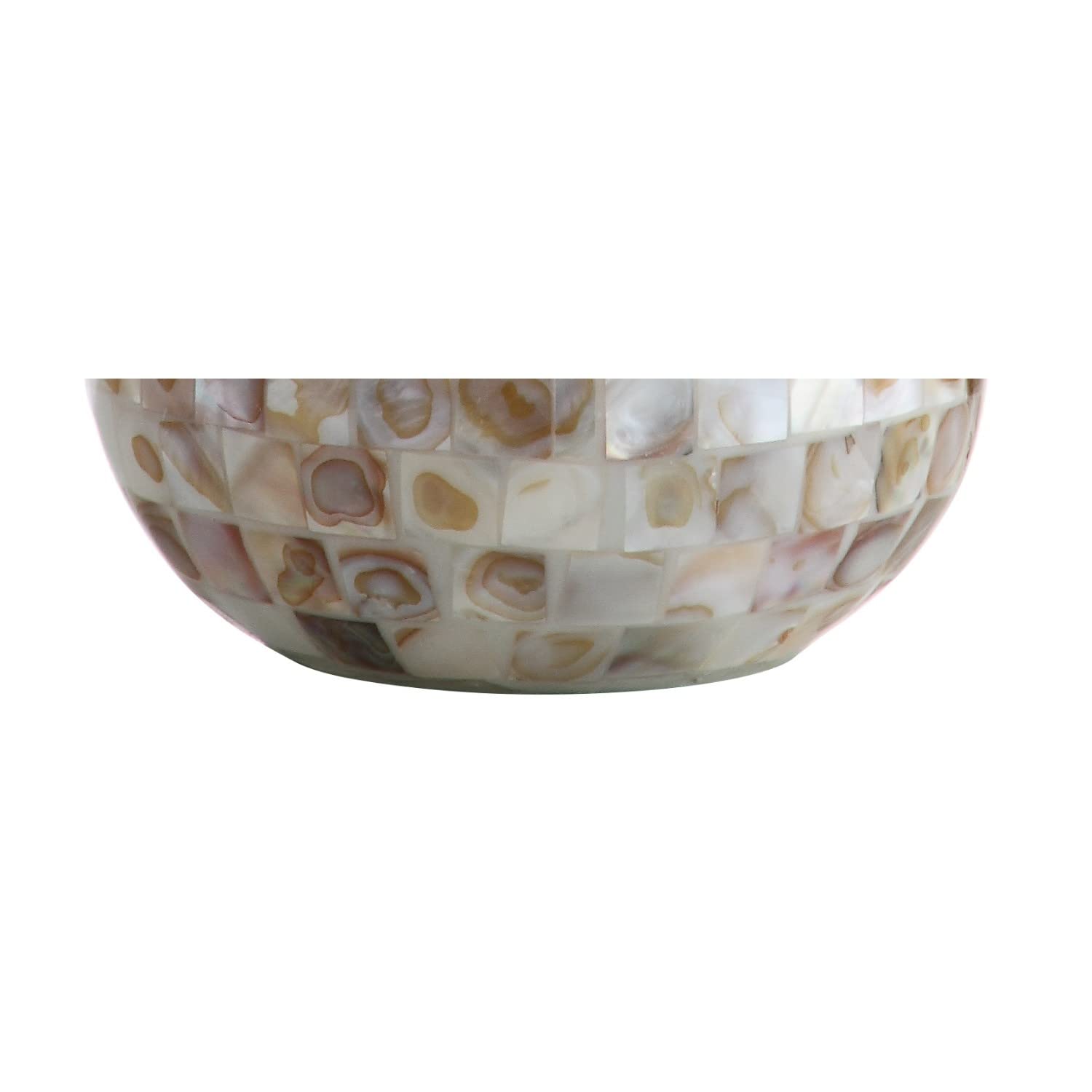 JONATHAN Y Mini LED Table Lamp, 20.5in, Resin, Seashell, Model JYL1024A, Coastal Transitional Design for Office, Living Room, Bedroom