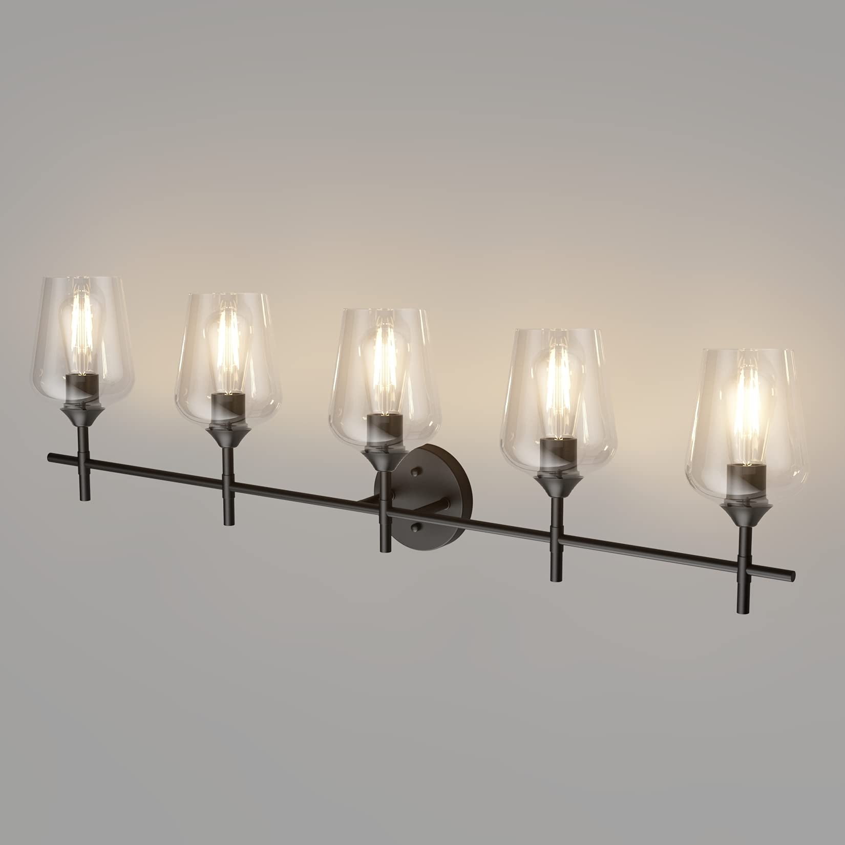 Ralbay Vintage Black Bathroom Vanity Light 5-Light Industrial Matte Black Finish Glass Fixtures Model 1117-5T