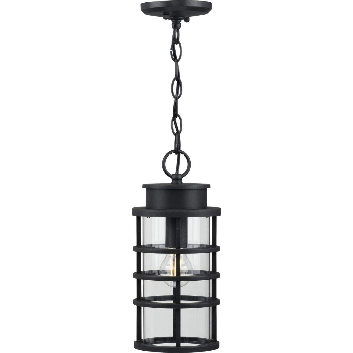 Progress Lighting Port Royal 1-Light Outdoor Hanging Lantern, Clear Glass, Textured Black, Model P550061-031