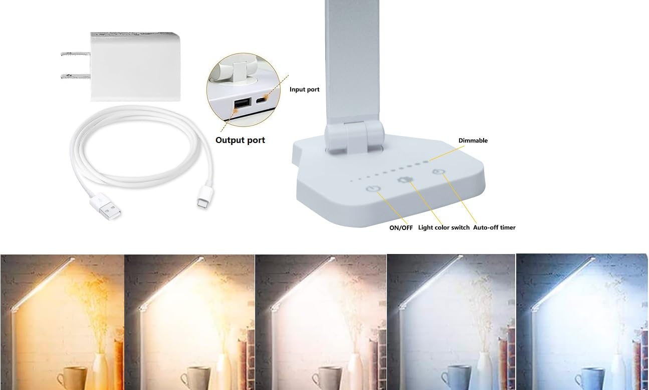 AMIS Direct LED Desk Lamp, Dimmable, 5 Lighting Modes, USB Charging, Silver, Model BX