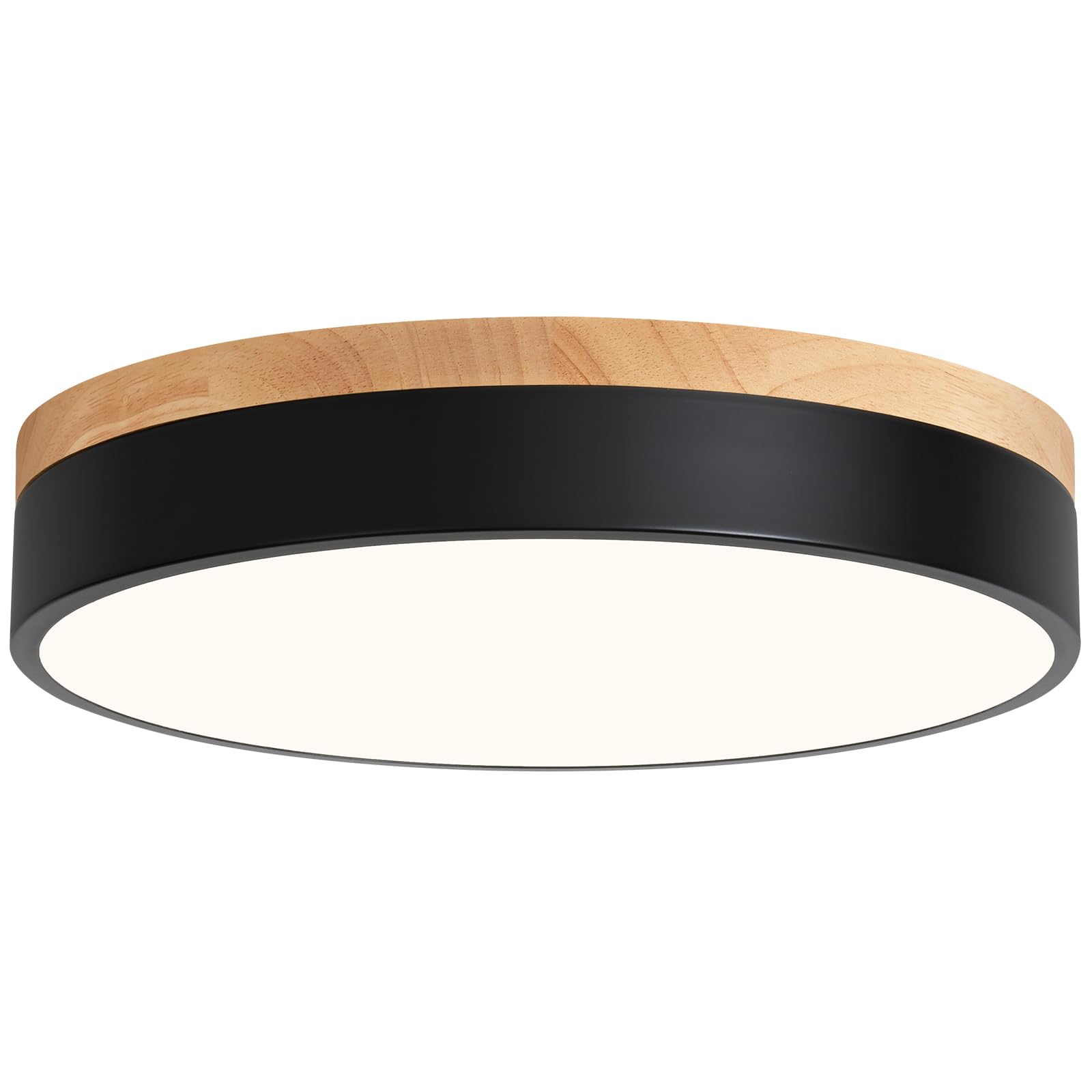 WOKNOS Modern LED Flush Mount Ceiling Light Fixture, 11.8 in, Black, Metal, Model WKUS241125001