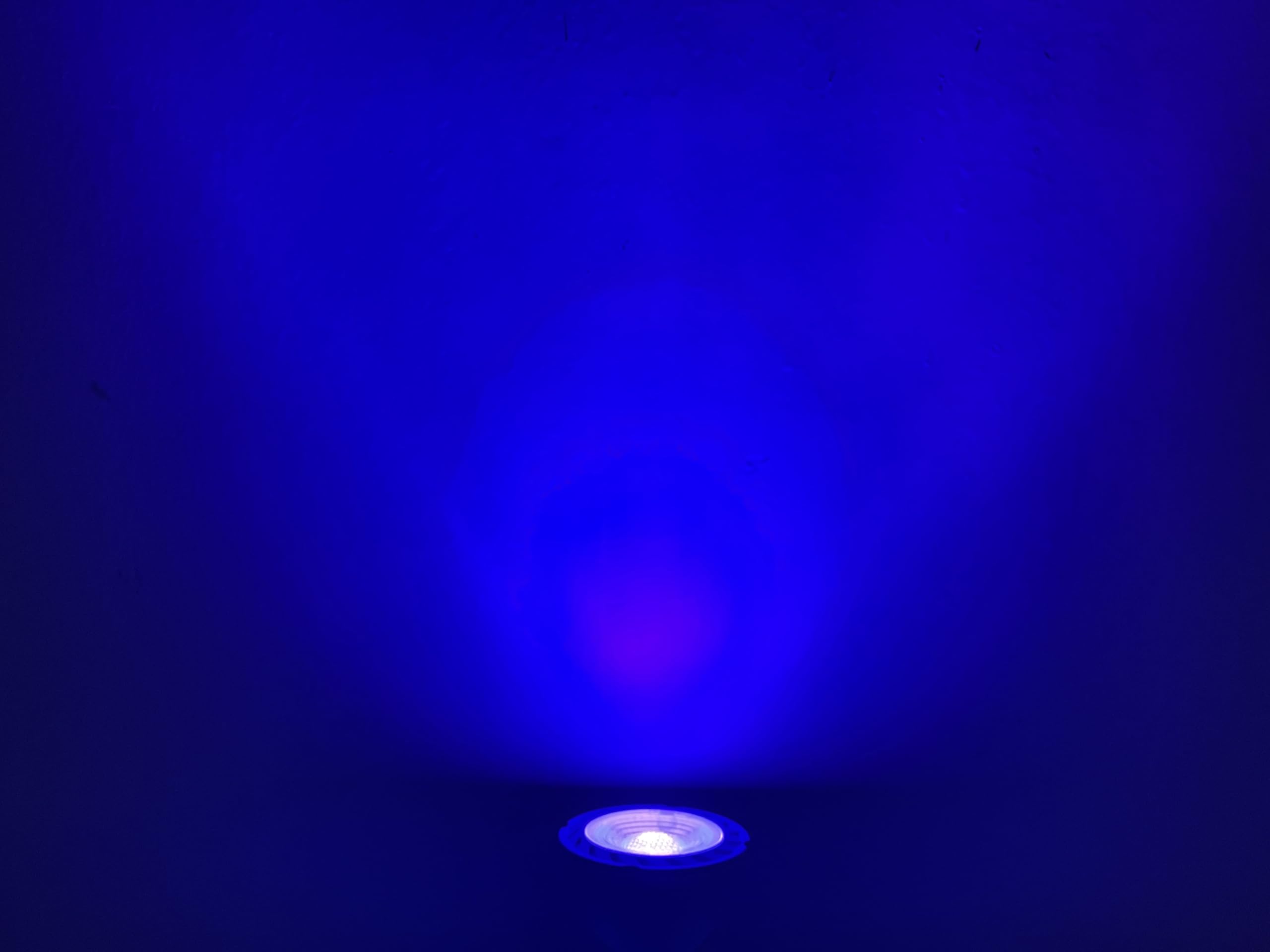 Kakemono Purple Black Light Mr16 Gu5.3 Led Bulbs 6W 12V Low Voltage Mr 16 Blacklight Bulbs For Halloween Holiday Outdoor Landscape Yard Party Decoration Lighting Pack Of 6