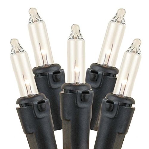 Novelty Lights Mini Light String, 5.5ft, 10 Bulbs, Clear, Black Wire, Incandescent, 4in Bulb Spacing, Model CG10/NS-BK