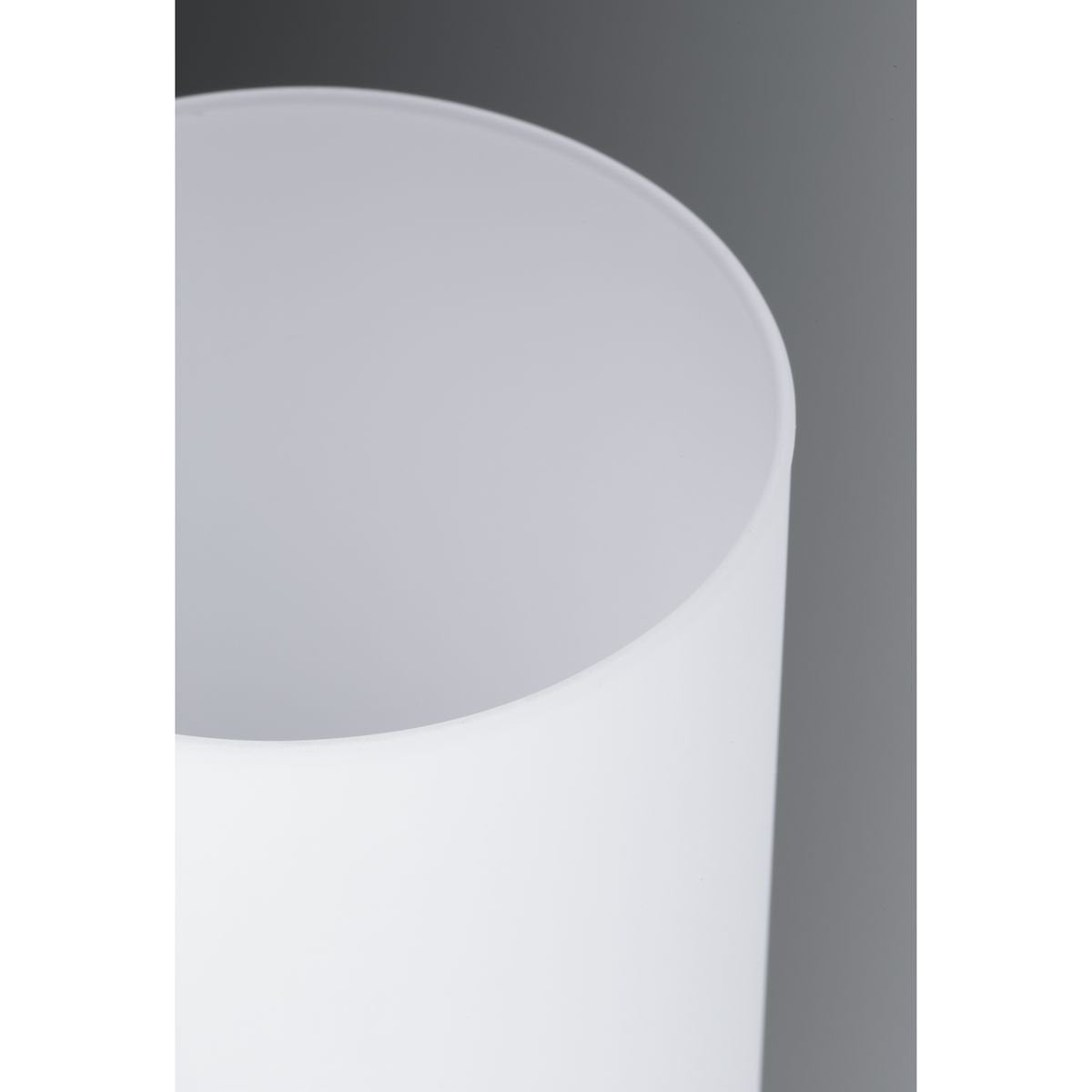 Progress Lighting 1-Light Bath Vanity Light Etched White Glass Textured Black Model P2131-31