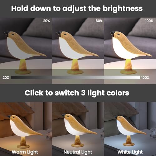Small Cute Bird Table Lamp With Timer, Touch & Remote Control Bird Night Light, Cordless Bedside Lamp, Desk Lamp For Reading, 3-