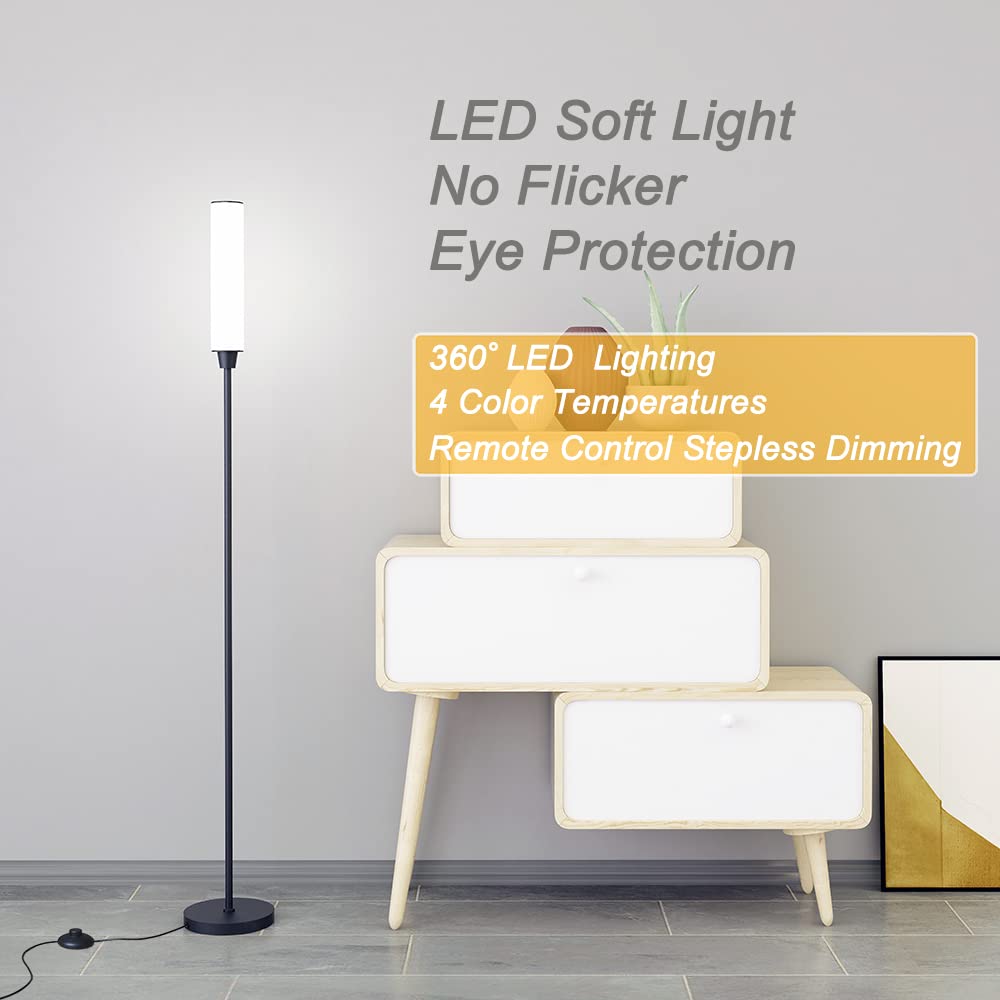 Nukanu Floor Lamp - Remote Control, Adjustable 3000K-6000K, 10-100% Brightness, Iron, Black, Model FLP-DHY