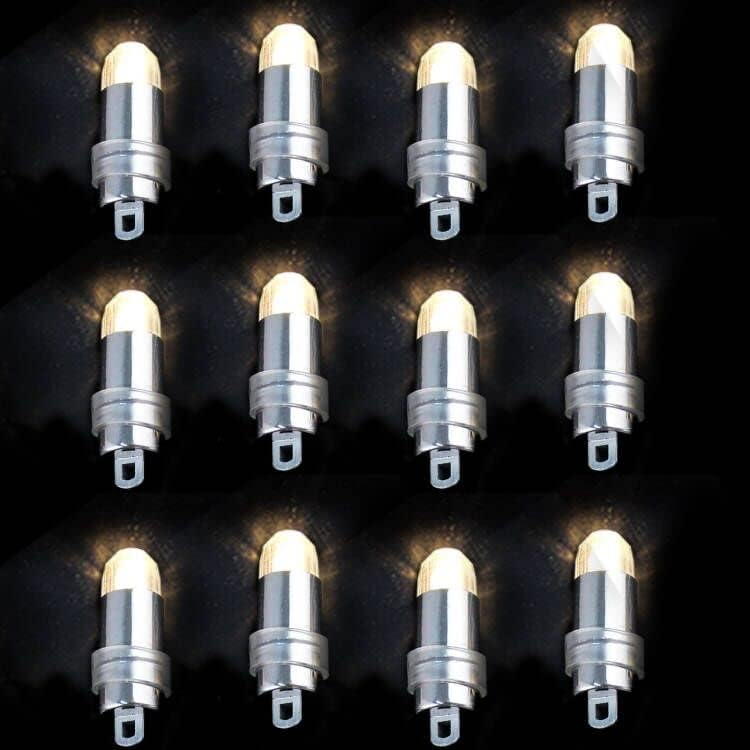 Acmee Non-Blinking Led Mini Lights Battery Operated Small Led Lights For Balloon Paper Lantern Party Decoration (Warm White, Pack Of 12)