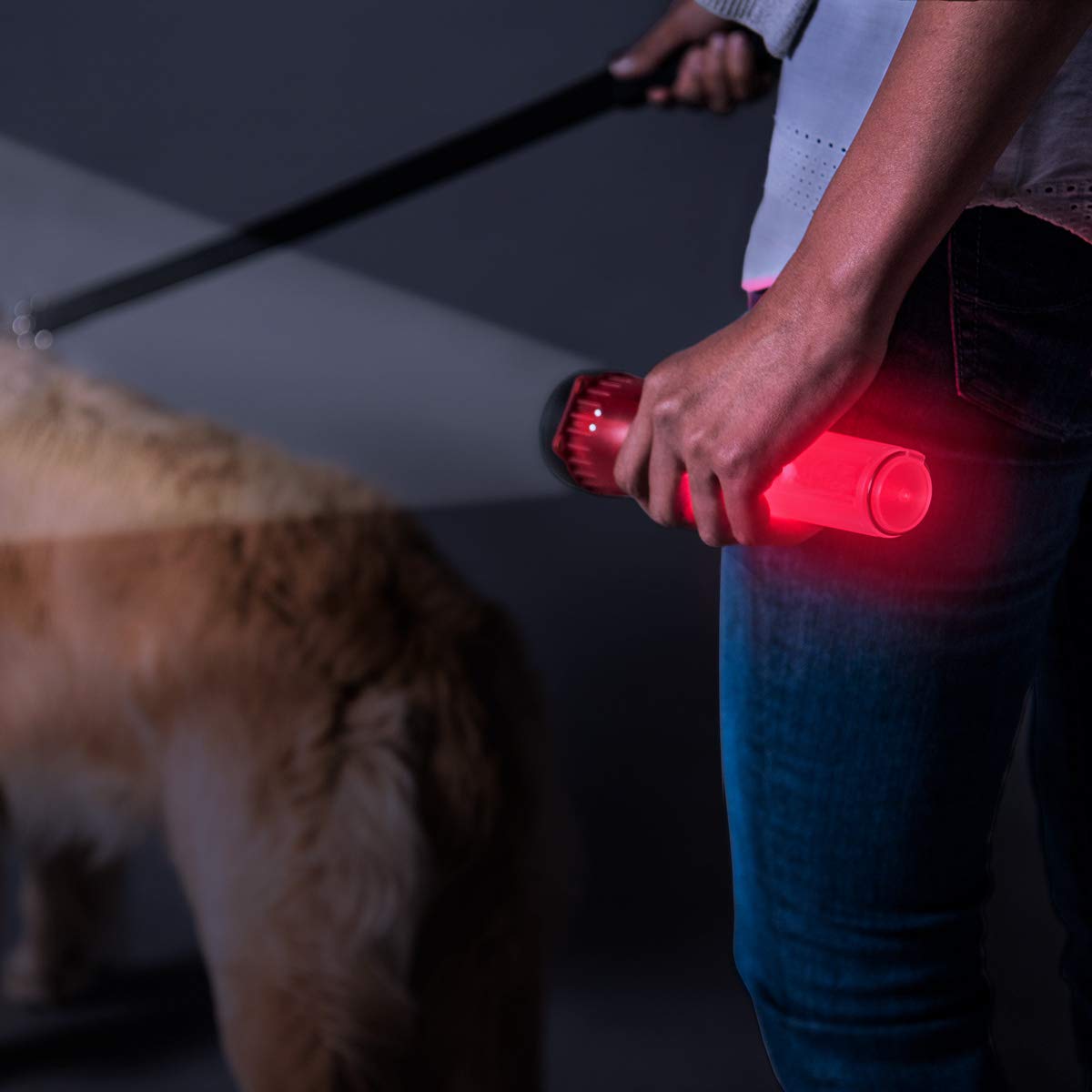 Life Gear LED Flashlight with Glow Handle, Emergency Flasher, Storage Compartment, One Size, White/Red, Model LG141