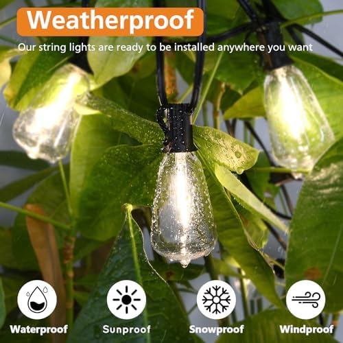 Brightever 100FT 3 Color in 1 LED Outdoor String Lights with Remote, Dimmable Edison Lights for Patio, Model CMPC-O50XA