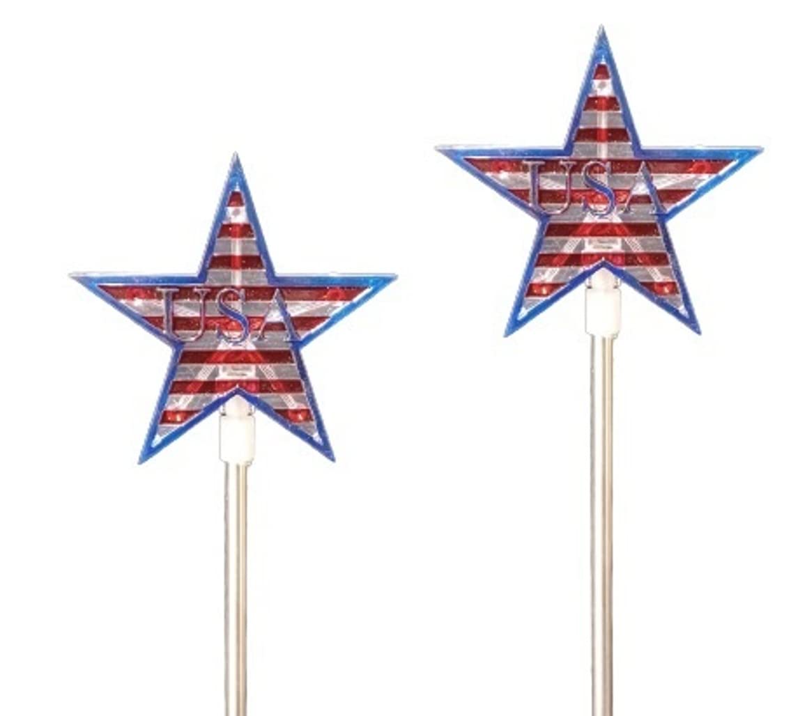 Starry Illuminate 2 PCS Solar Color Changing Style Garden Stake Light Pathway Stake Light (Star Flag)