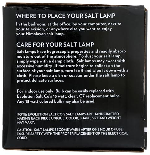 EVOLUTION SALT COMPANY White Fire Bowl Salt Lamp, 1 EA
