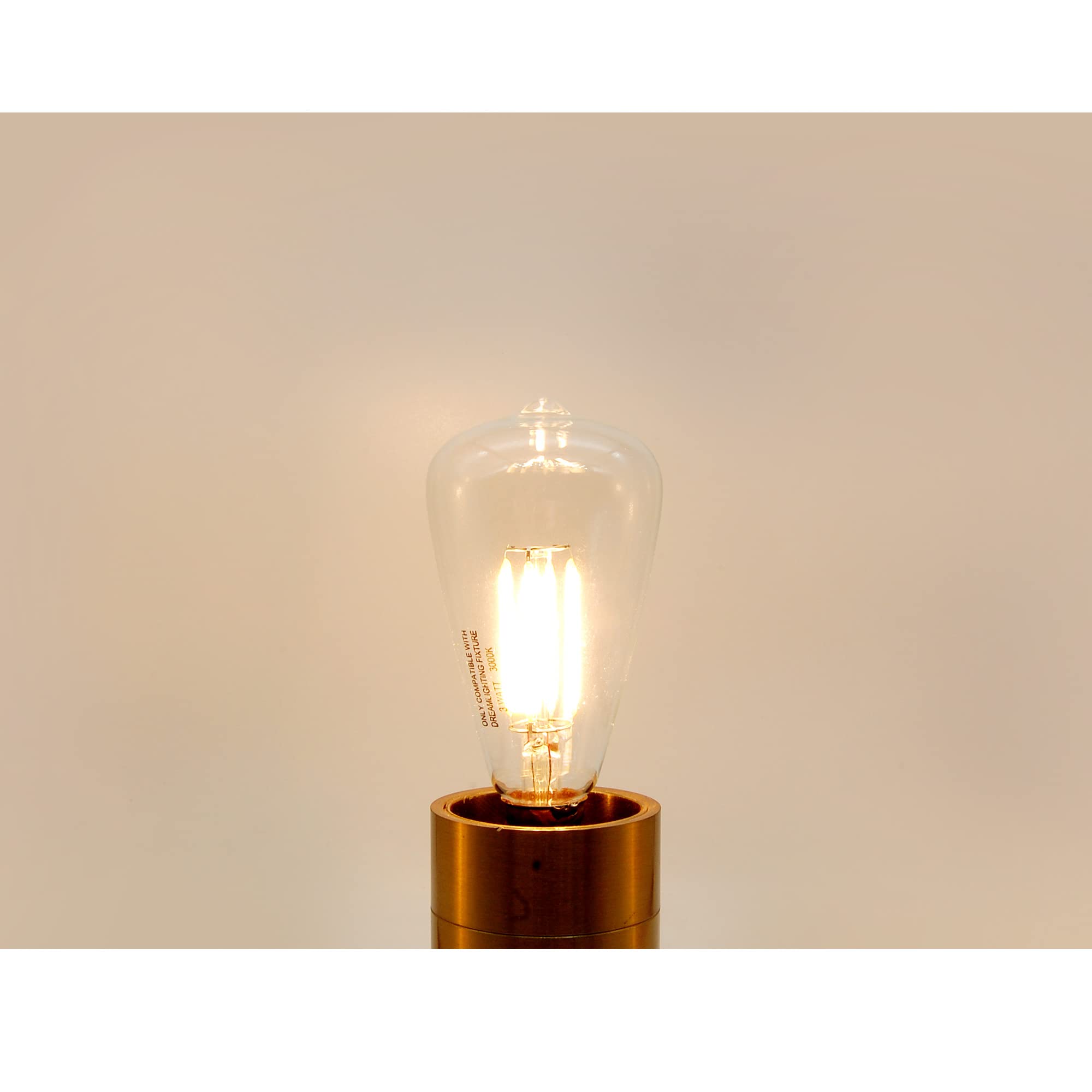 Dream lighting LED Edison Bulb, 3W 150 Lumens, Warm White 3000K, Pack of 2, Copper