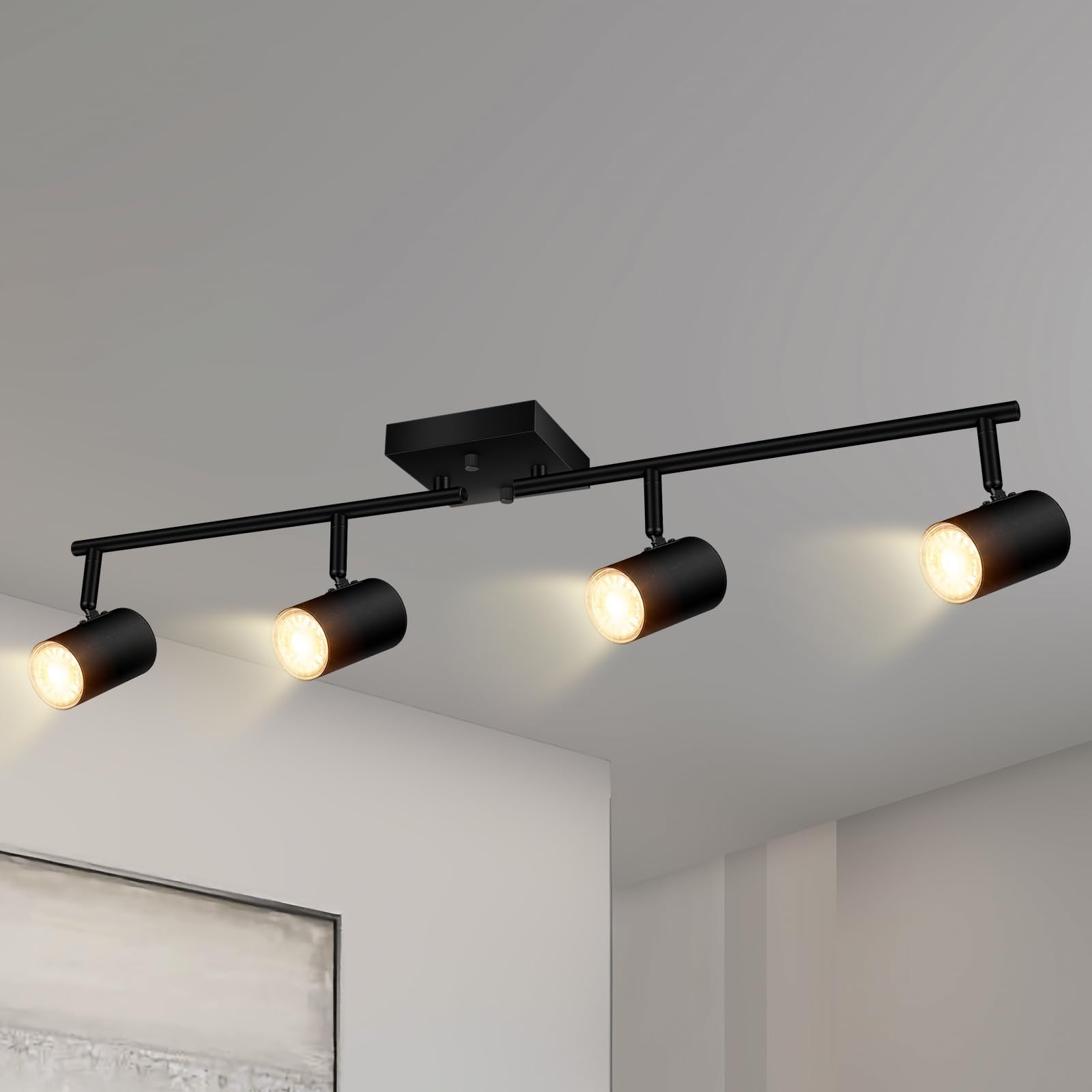 BoostArea 4-Light Track Lighting Kit, Metal, Rotatable Heads, Black, Model C0541