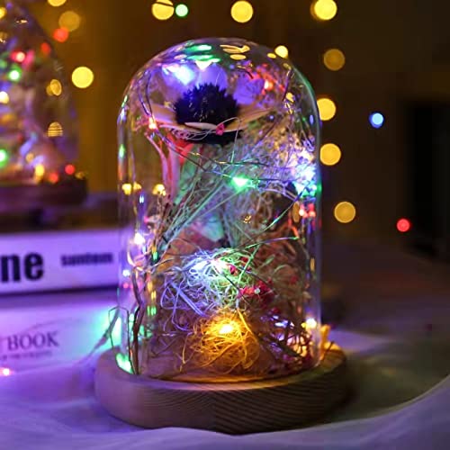 Sanniu Led Fairy Lights Battery Operated, 2 Packs Mini Battery Powered Copper Wire Starry String Lights For Christmas,Bedroom,Wedding,Parties,Patio,Indoor,Home Decoration (5M/16Ft Multicolor)