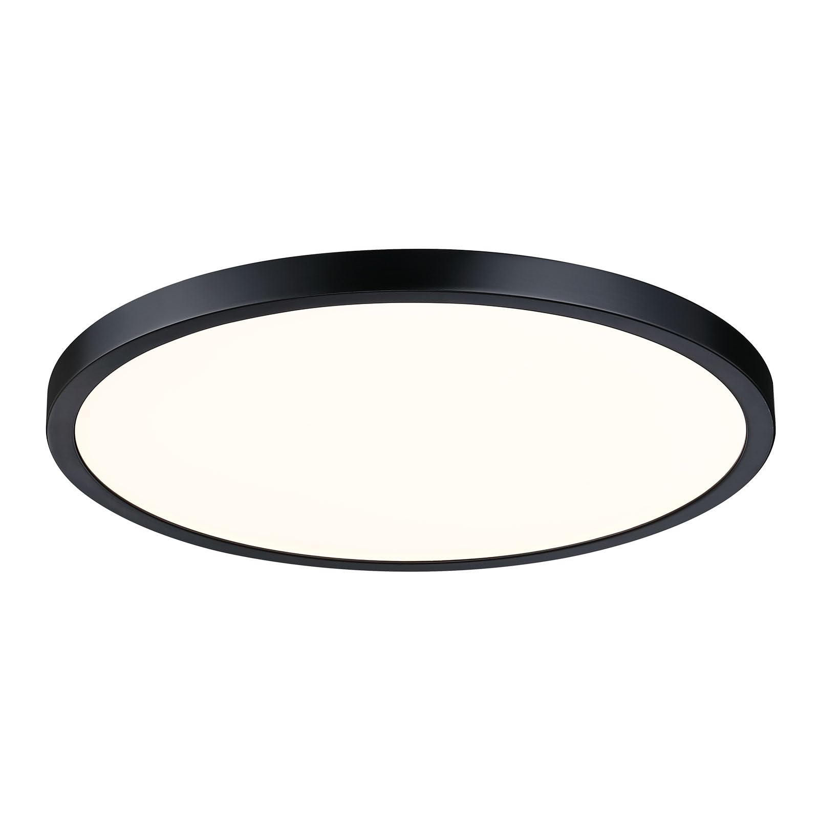 Caisens 14 Inch Flush Mount Ceiling Light Fixture, Dimmable, Metal and Glass, Black, Model CS019