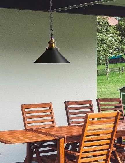 ANUOMY 1 Pack Portable Black Battery Operated Hanging Light Fixture with Remote - Rechargeable Indoor Outdoor Lantern Chandelier