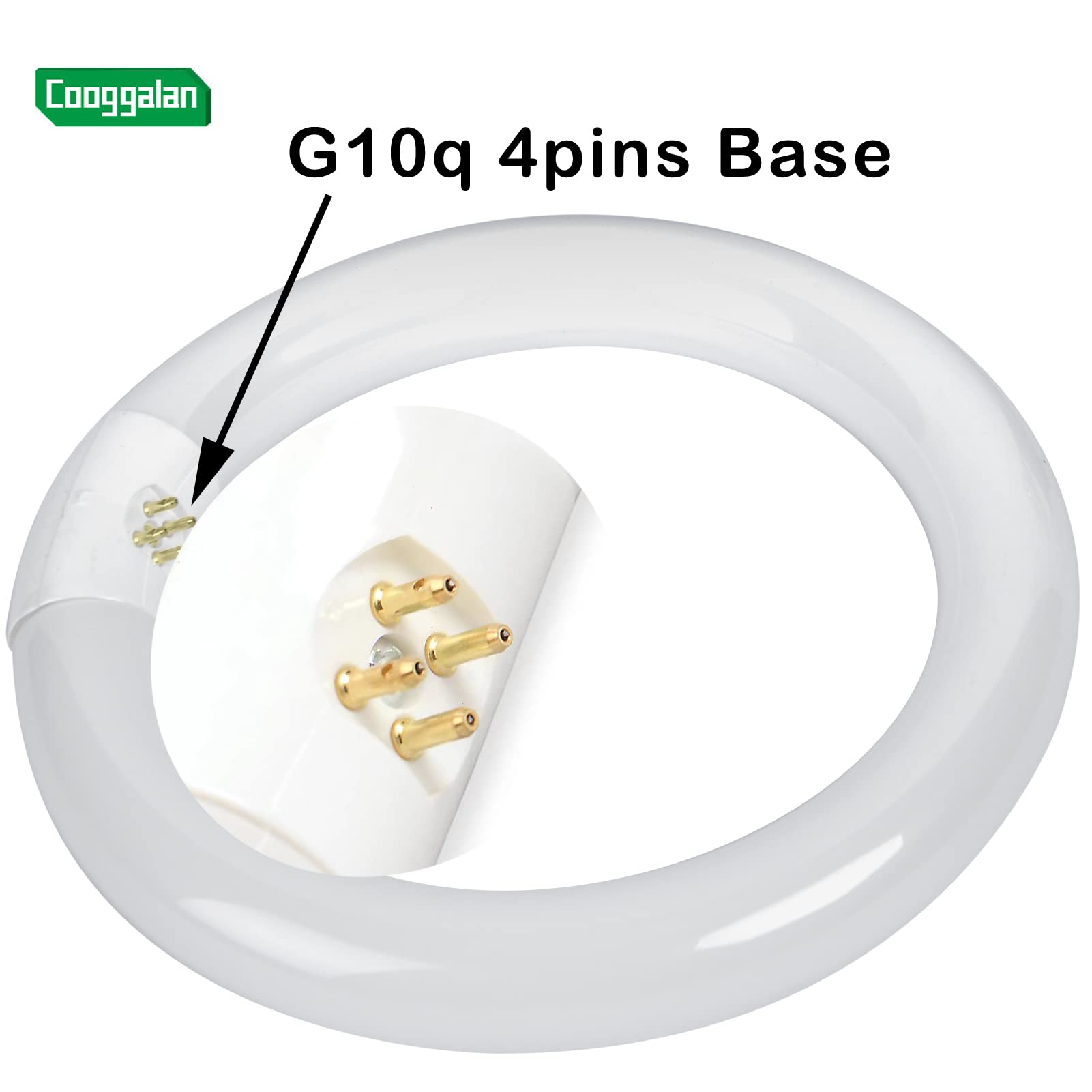 Cooggalan 8 Inch T9 22 Watts Round Light Bulbs Fc8T9/Dx Circular Fluorescent Light Bulb, Fc8T9/Dl 22W Circline Bulb, Daylight 64
