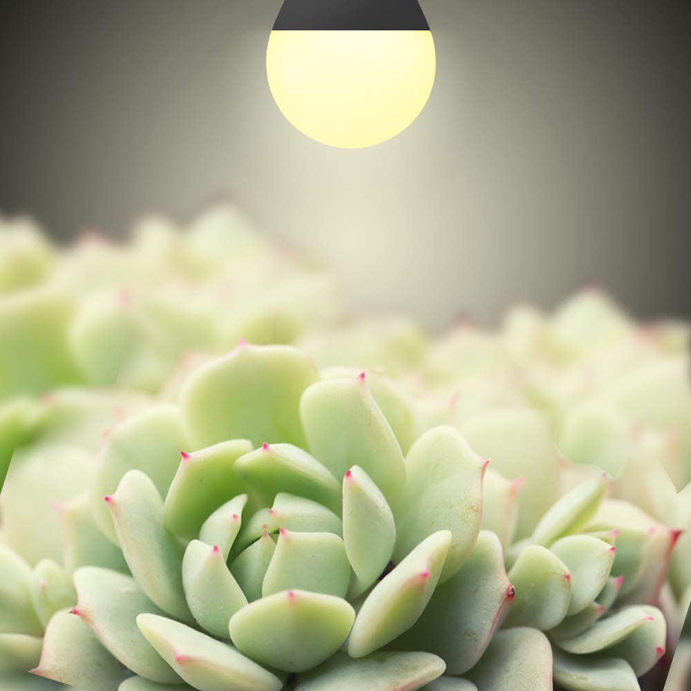 mfxmf 6 Pack LED Grow Light Bulbs, Full Spectrum 9W E26, Replaces up to 100W, Ideal for Indoor Plants & Hydroponics
