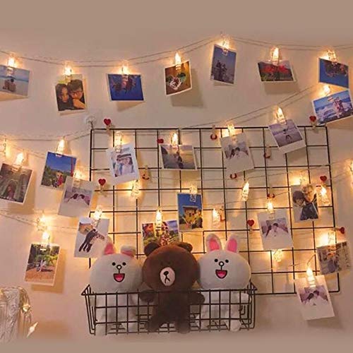 Magnoloran 30 LED Photo Clip Fairy Lights LED Twinkle Lights Starry Lights for Home Halloween Thanksgiving Christmas Party Weddi