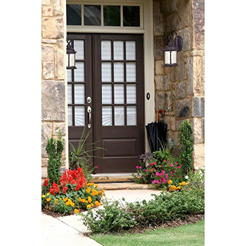 Westinghouse One-Light Exterior Wall Lantern, Steel, Clear Seeded Glass, Black, Oil Rubbed Bronze Finish, Model 6230600, 1 Pack