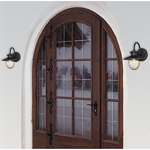 Westinghouse One-Light Outdoor Wall Fixture, Alloy Steel, Oil Rubbed Bronze, Model 6313100, Clear Water Glass, 1 Wall Fixture