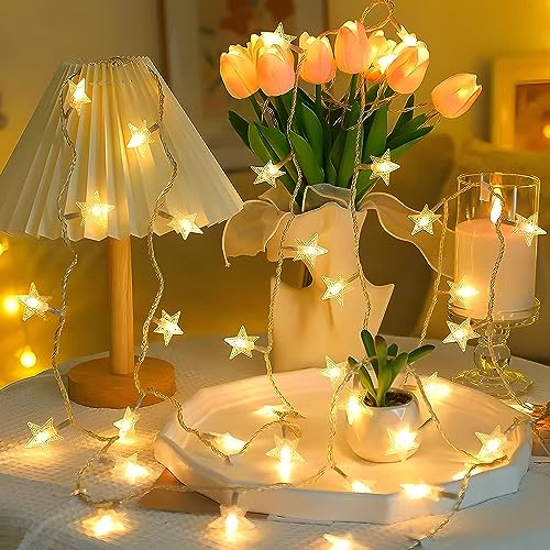 REFULGIX Plastic Mini Star Battery Powered String Lights for Indoor Outdoor Decoration Light for Party Birthday Diwali Christmas