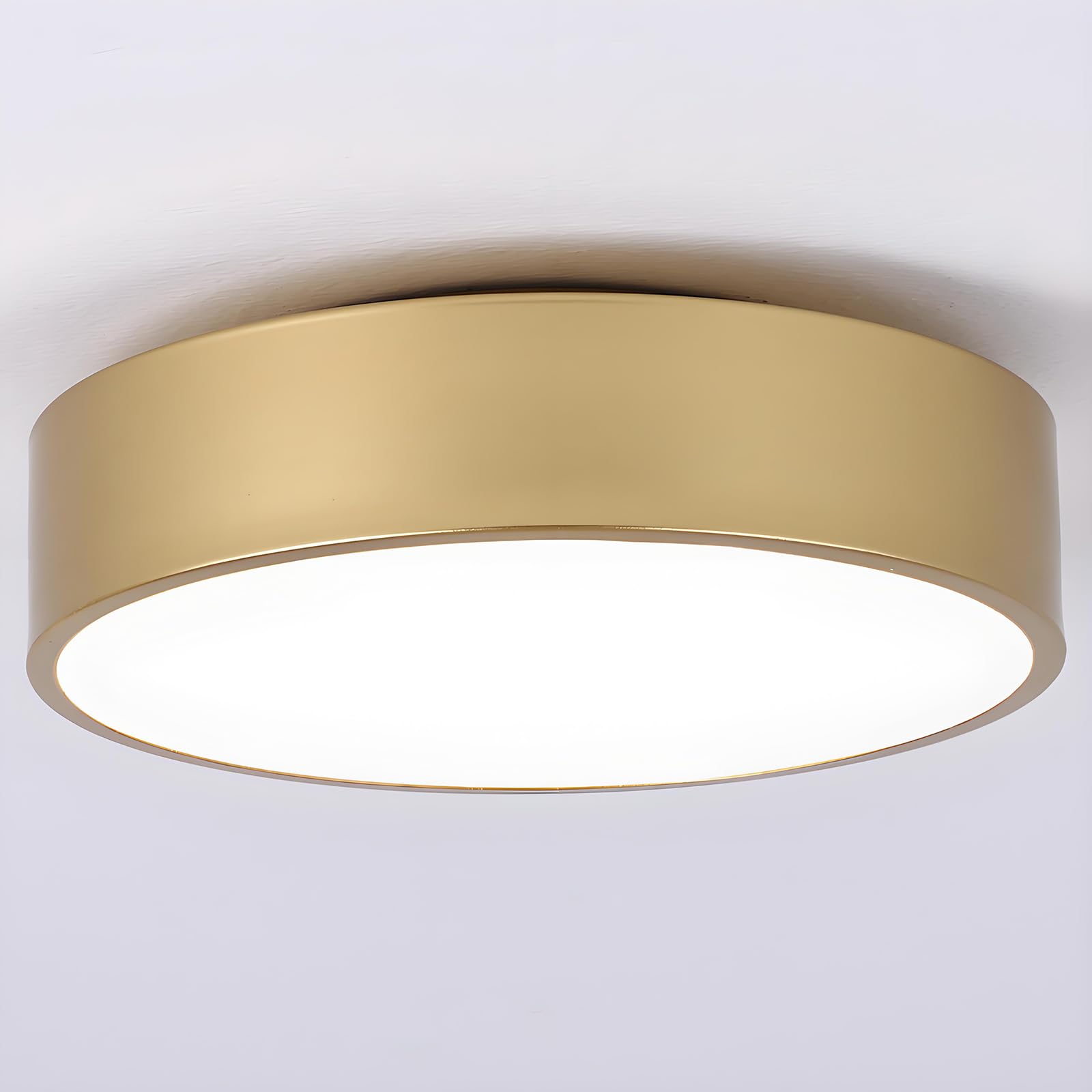 erpymi Modern Gold Flush Mount Ceiling Light, 2-Lights Round Ceiling Light, Minimalistic Ceiling Lamp Acrylic Shade Lighting Fix