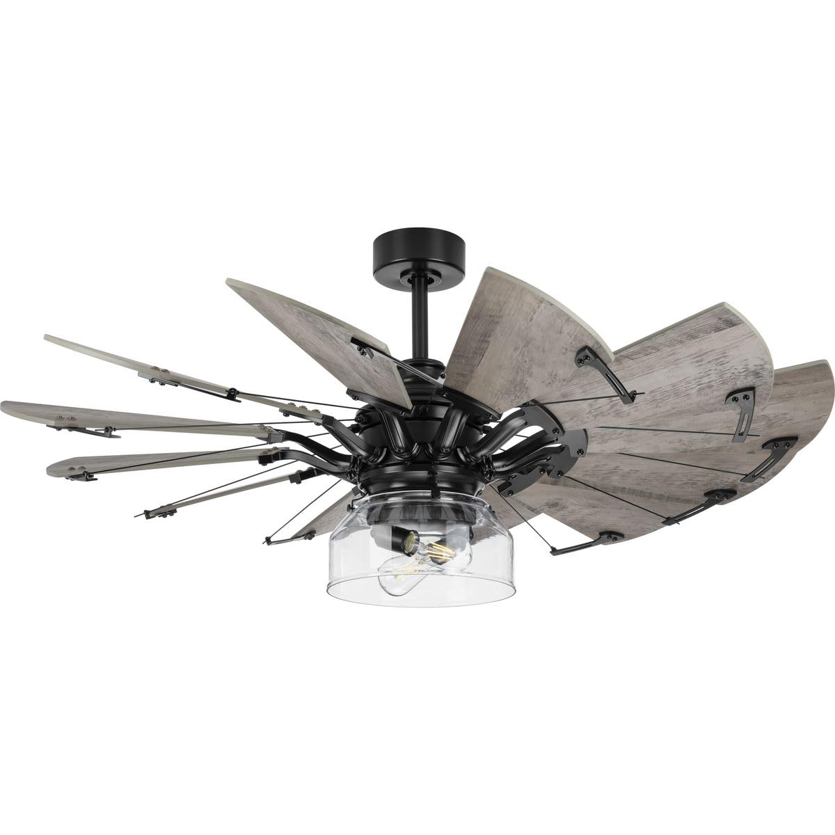 Progress Lighting Springer Collection Clear Glass Light Kit Matte Black, 7.50X11.87X11.87