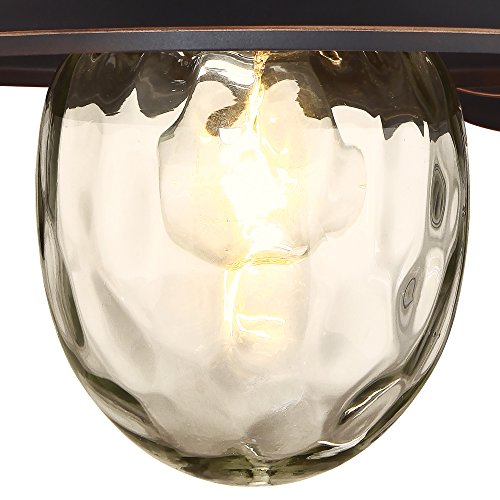 Westinghouse One-Light Outdoor Wall Fixture, Alloy Steel, Oil Rubbed Bronze, Model 6313100, Clear Water Glass, 1 Wall Fixture