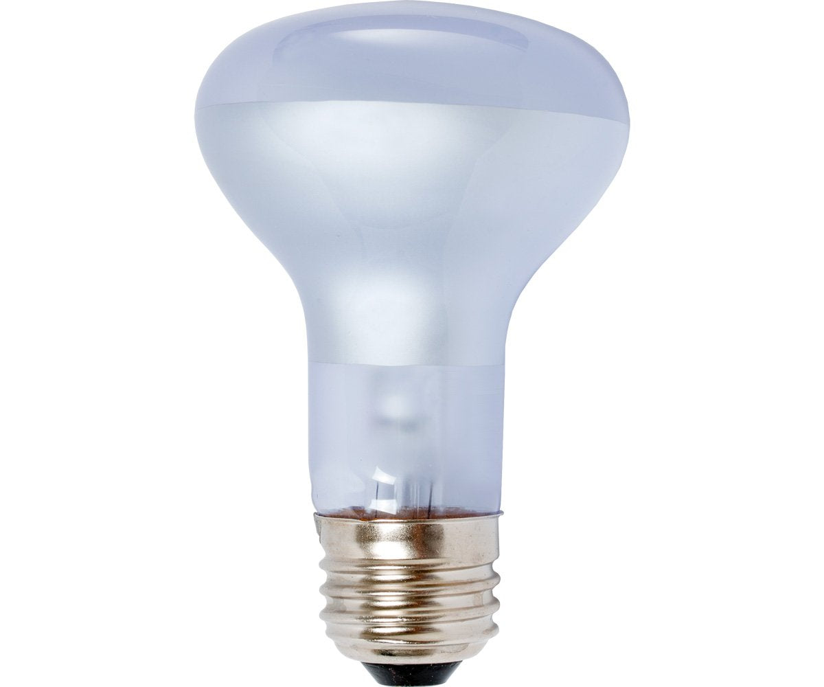 Hydrofarm Agrosun Dayspot BURP413 Incandescent Growlight Bulb, 60W, 1 Count, One Color