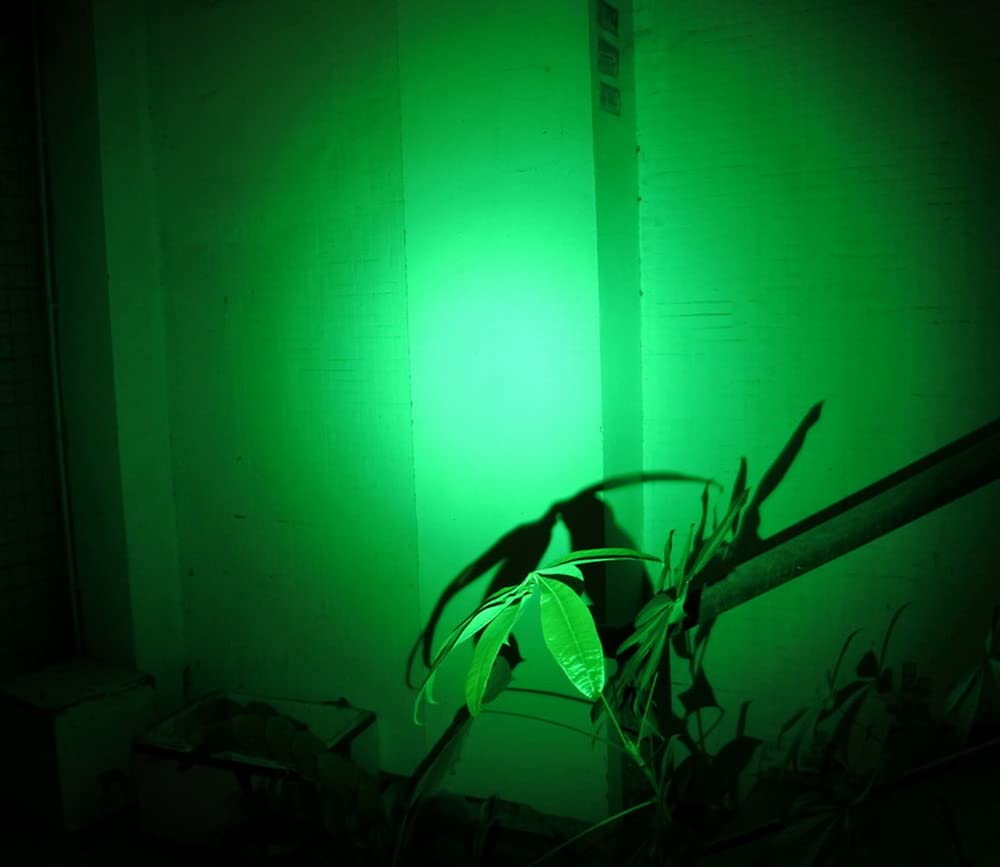 Wondsunson 2 X Green Light Pen Type Penlight Flashlight One Mode Green Light Led Torch For Camping Hiking Fishing Hunting Animal Protecting Night Vision