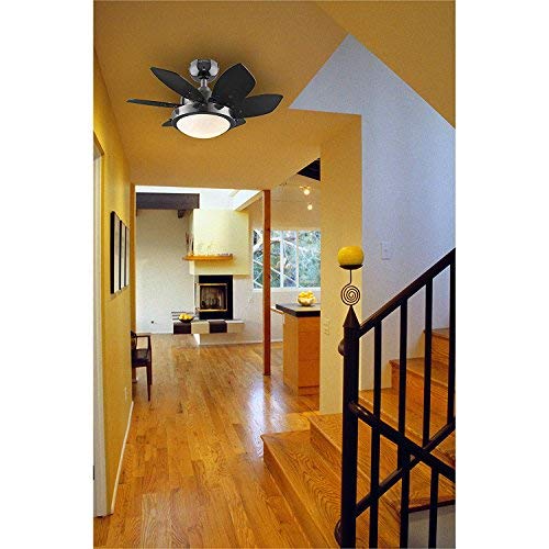 Westinghouse 7224300 Quince 24-Inch Gun Metal Indoor Ceiling Fan, Light Kit With Opal Frosted Glass