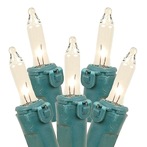 Novelty Lights 5 Feet Clear Mini Christmas Lights, Green Wire, UL Listed, Indoor/Outdoor, Model CG10-G-CL