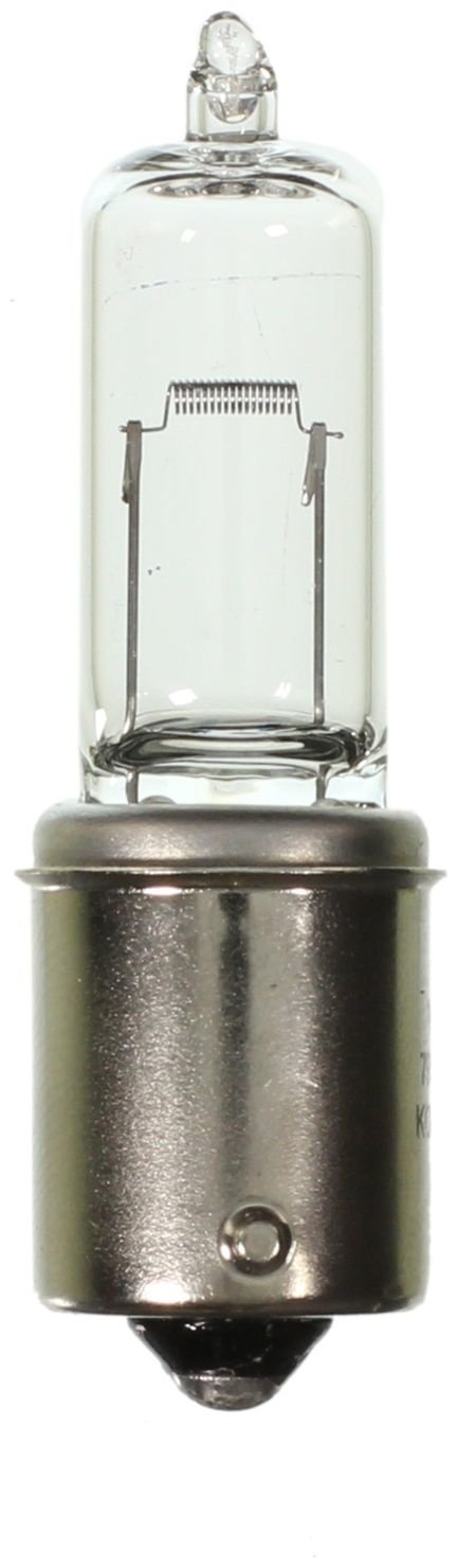 Wagner Lighting - Mini Lamp (795)