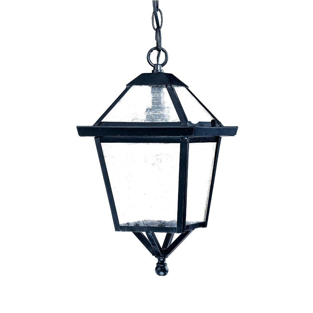 Acclaim 7616BK Outdoor Hanging Lantern Light Fixture, Matte Black, Glass, 7.75 x 14 inches