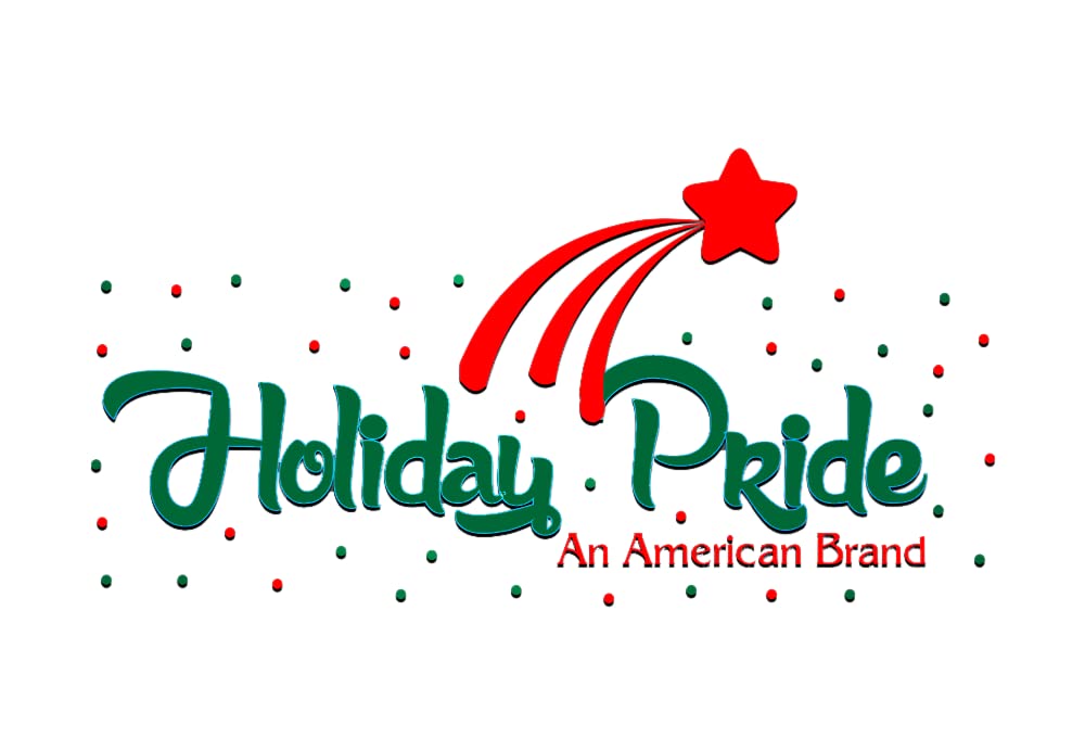 Holiday Pride 20 Clear White Mini Lights White Wire - Mini Craft Christmas Lights - Perfect for Wreath Lights, Mini Tree Lights