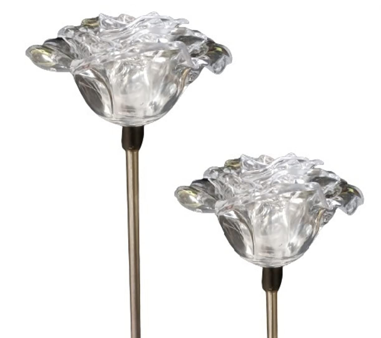 Starry Illuminate 2 PCS Solar Color Changing Style Garden Stake Light Pathway Stake Light (Rose)