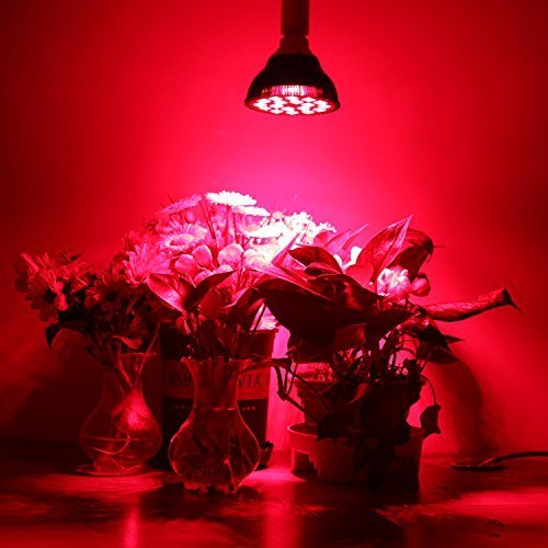 horticultural led grow light bulb HIGROW 36W All Deep Red 660nm LED Grow Light Bulb for Indoor Plants Flowering Bloom and Fruiting Grow Spectrum Enhancement