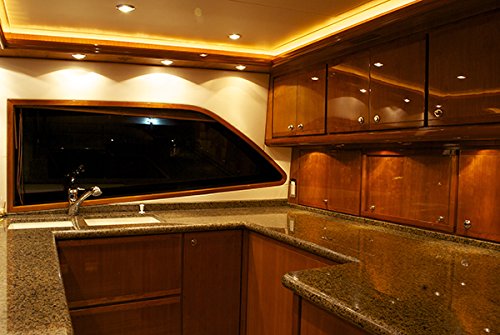 Lumitec 101052 Exuma Courtesy/Accent Light, Direct / 360 Degree, White Case, White,One Size