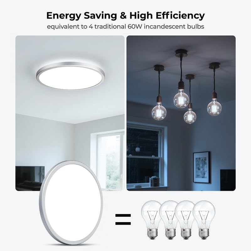 BLNAN Dimmable LED Flush Mount Ceiling Light Fixture, 12Inch, Silver, Model LD-002, Remote Control, 3000K-6500K, Low Profile