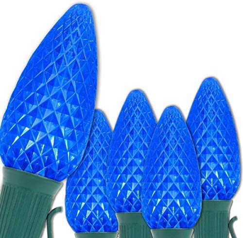 Wintergreen Lighting C9 LED Christmas Lights - 100 Lights, 100 ft, Blue, Heavy Duty, Polycarbonate, Model 840052167906