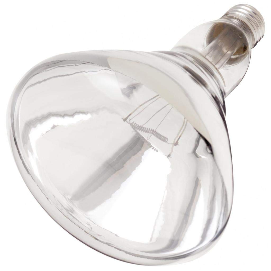 Satco S7012 Medium Bulb, Glass, 7.63 inches, Clear Heat Finish