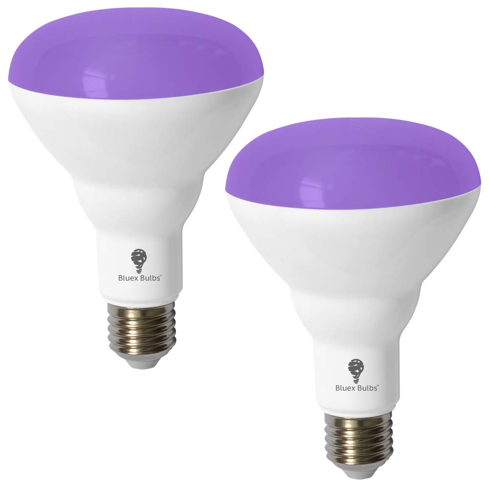 BR30 Black Light Bulb 2 Pack LED Black Light Bulbs,13W (100W Equivalent) BR30 E26 for Glow in The Dark, Level 385-400nm, Black L