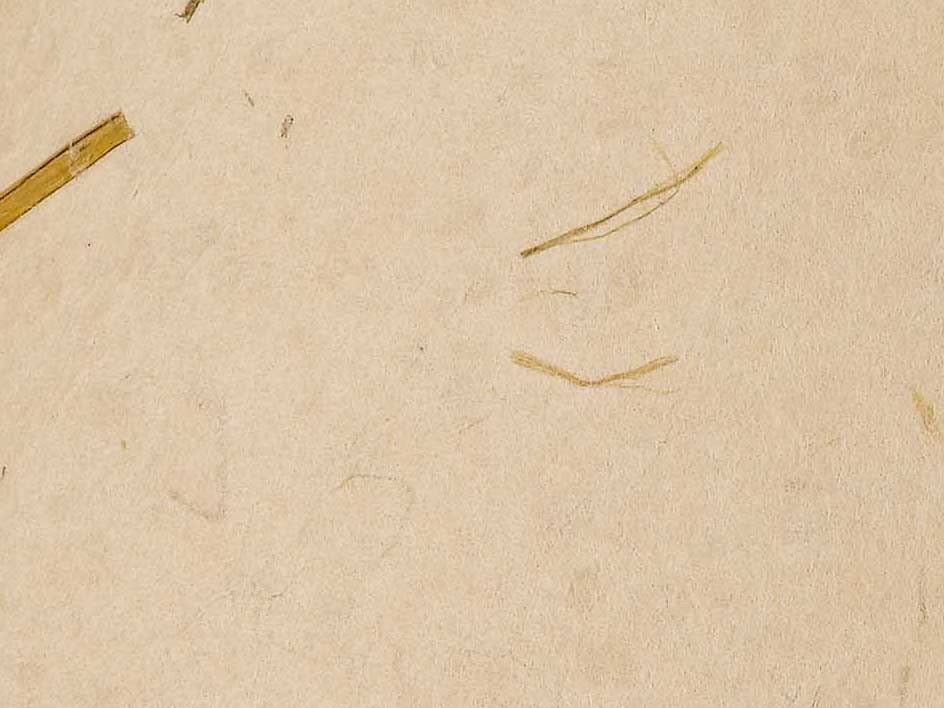 Cal Lighting Sh-8115-17F Transitional Shade In Light Finish, 17.00 Inches