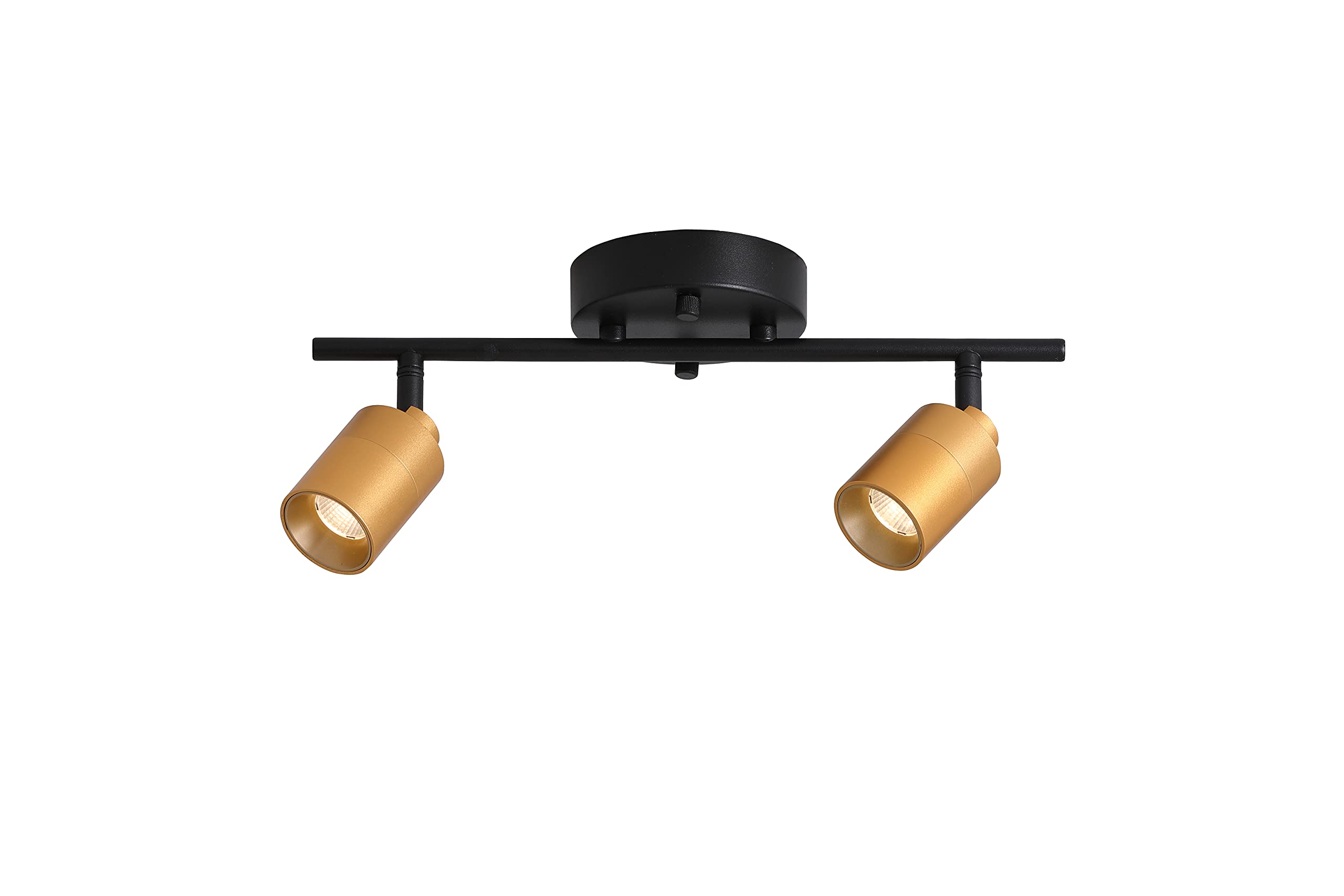 Shura Black & Brass 2-Light Track Light with Adjustable Heads, Integrated LED Bulbs, 15 in. Track Lighting Kit Ceiling Light, 30