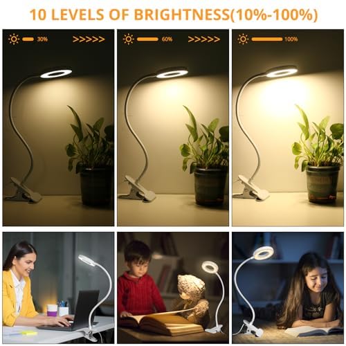 Desk Clip On Lamp For Reading Home Office, With 5V 2A Adapter, 10 Dimmable Brightness 3 Modes, Clamp Reading Light For Bed Headboard, Craft (White)…