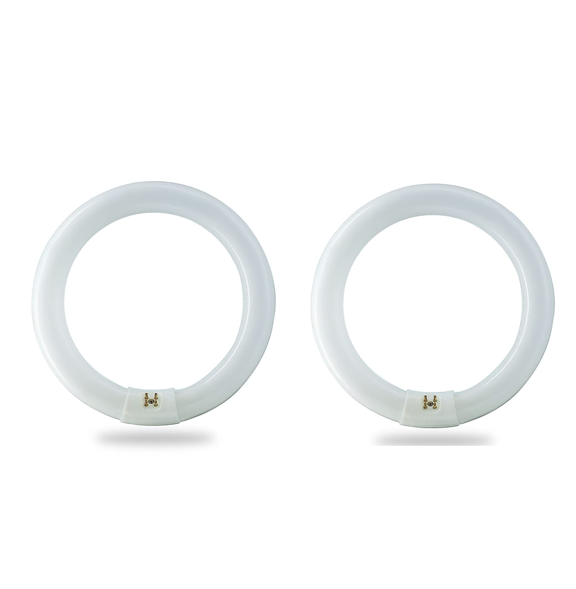 BULBMASTER FC8T9/CW 22 Watt 8 Inch Round T9 Fluorescent Circular Light Bulb  Cool White 4100K  1120 Lumens G10Q 4-Pin Base 22W Circline Ceiling Lights Pack of 2
