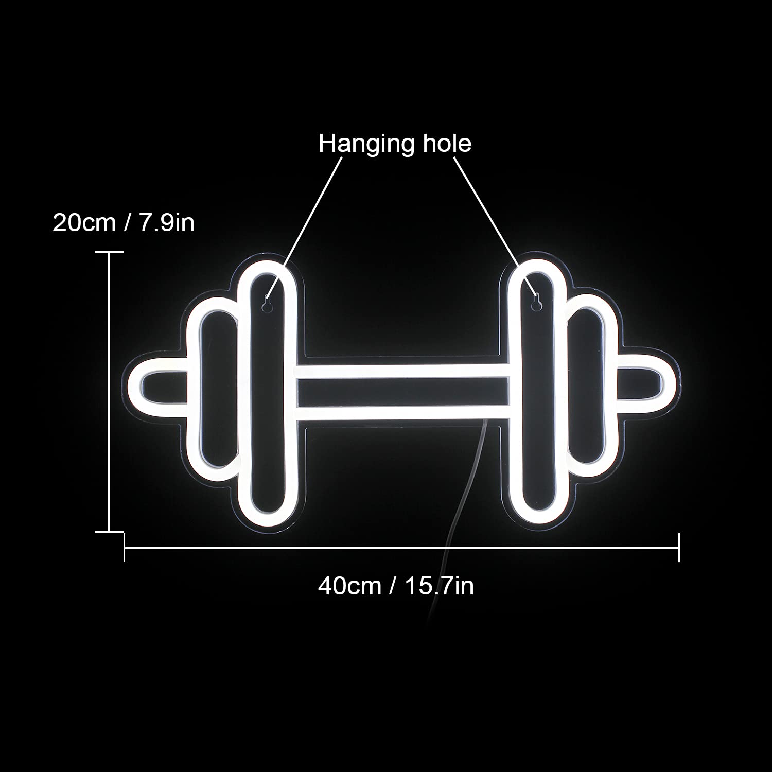 LUCUNSTAR Gym Neon Sign, Barbell Dumbbell Shape, LED Wall Decor, White, Model NS-DC-010-Dumbbells